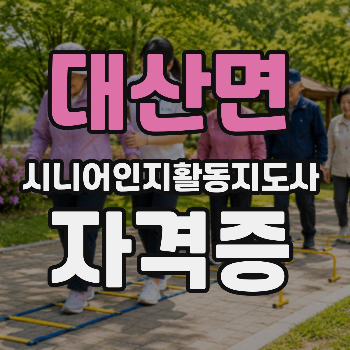 대산면 시니어인지활동지도사 자격증