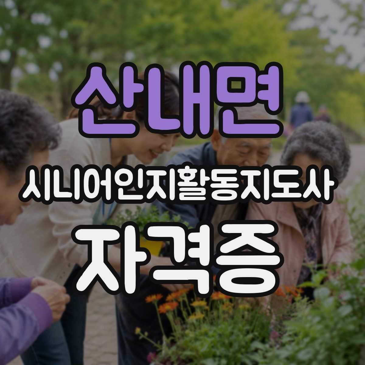 산내면 시니어인지활동지도사 자격증