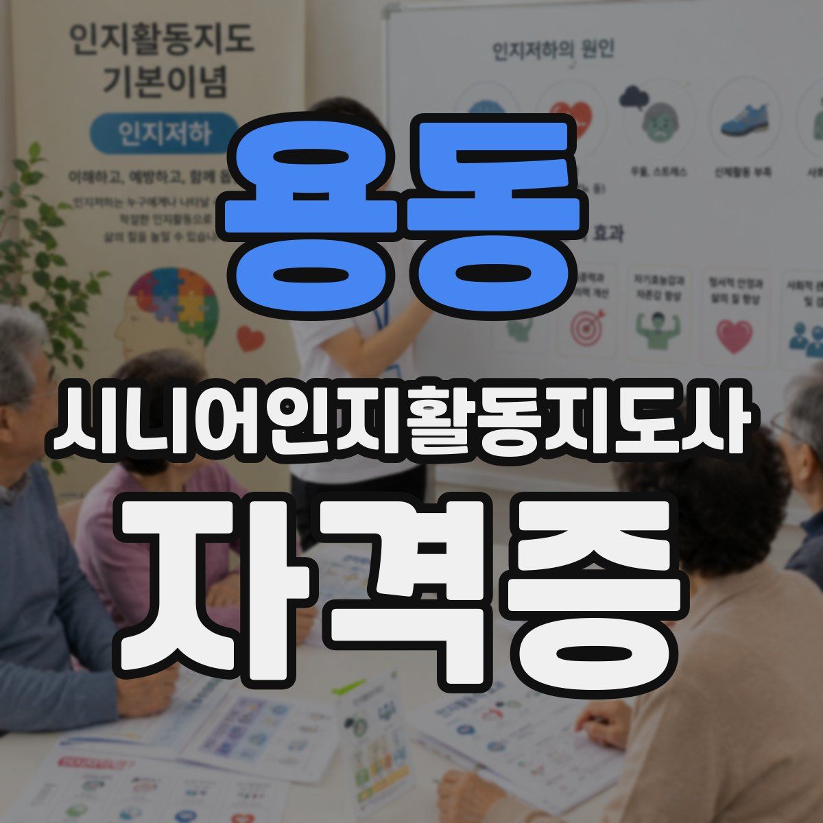 용동 시니어인지활동지도사 자격증
