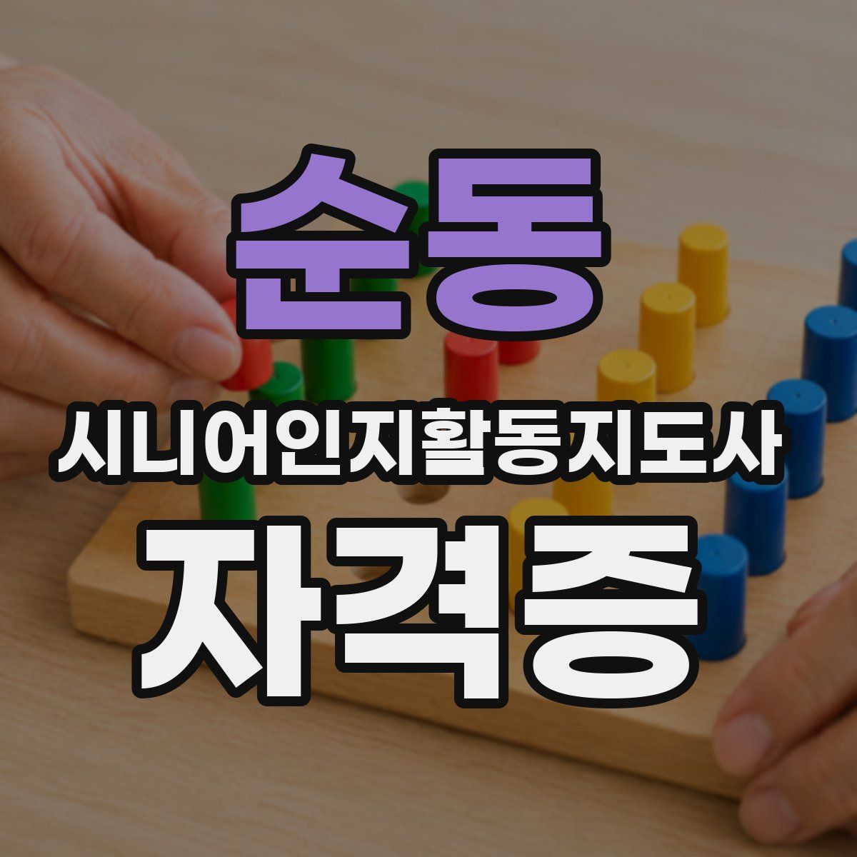 순동 시니어인지활동지도사 자격증