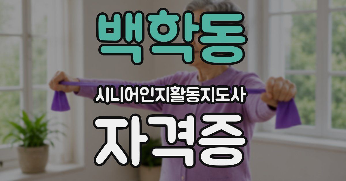 백학동 시니어인지활동지도사 자격증