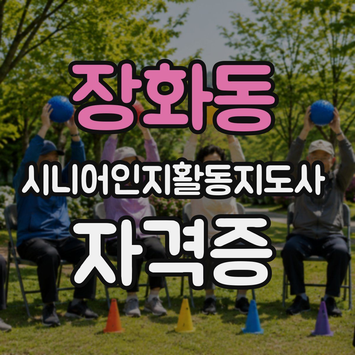 장화동 시니어인지활동지도사 자격증