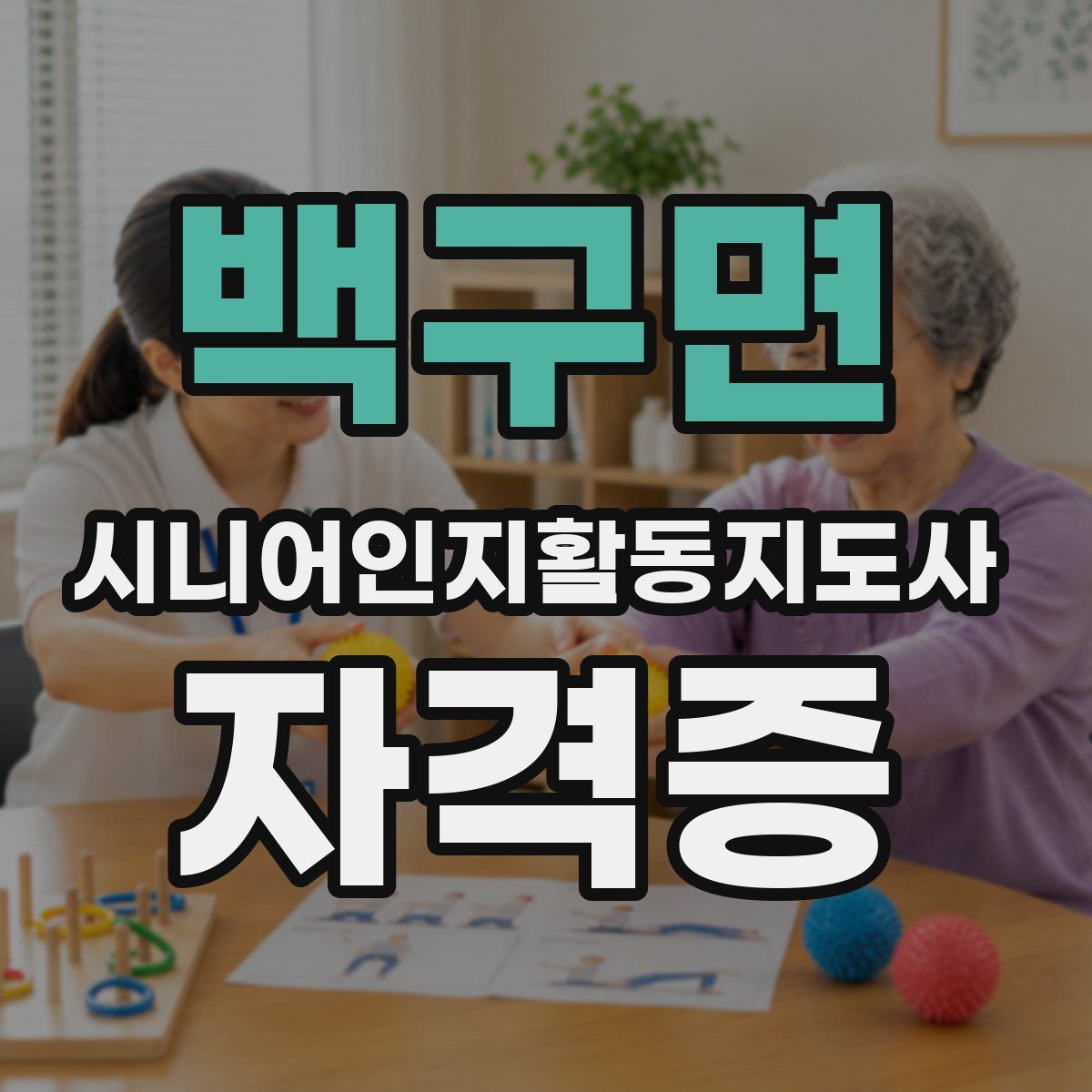 백구면 시니어인지활동지도사 자격증
