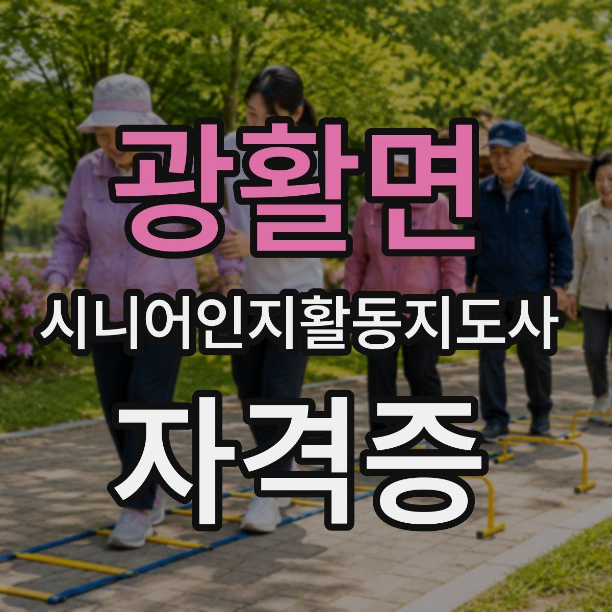 광활면 시니어인지활동지도사 자격증