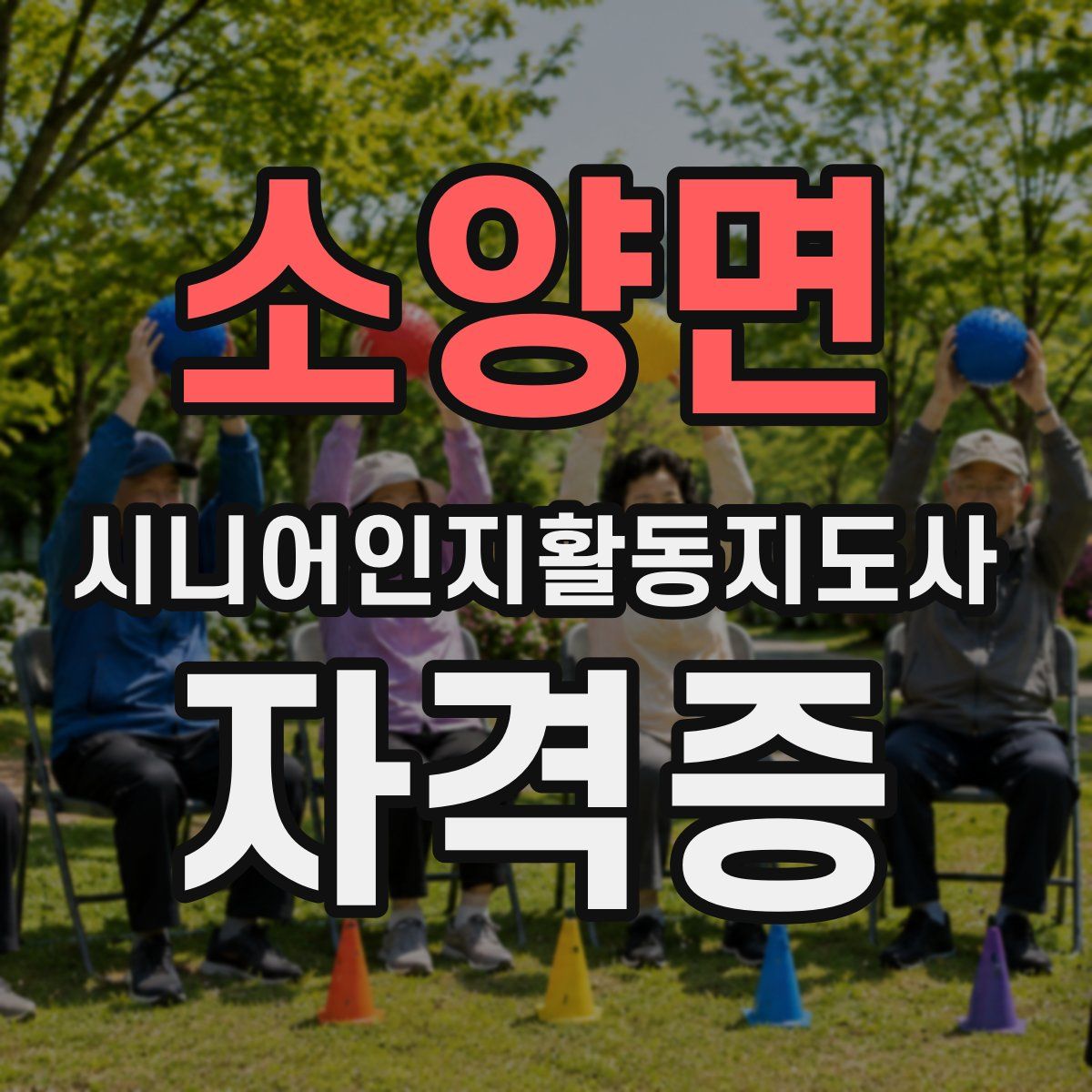 소양면 시니어인지활동지도사 자격증