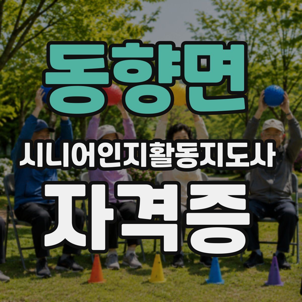 동향면 시니어인지활동지도사 자격증