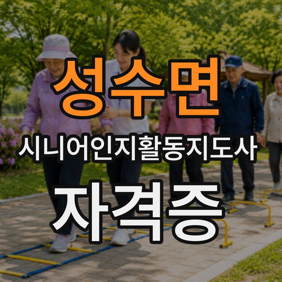 성수면 시니어인지활동지도사 자격증