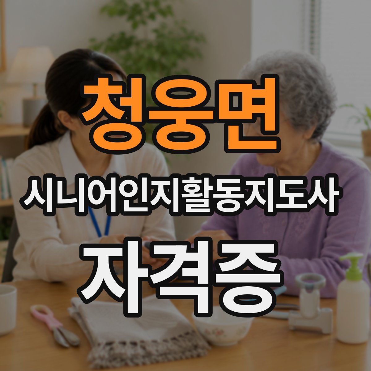 청웅면 시니어인지활동지도사 자격증
