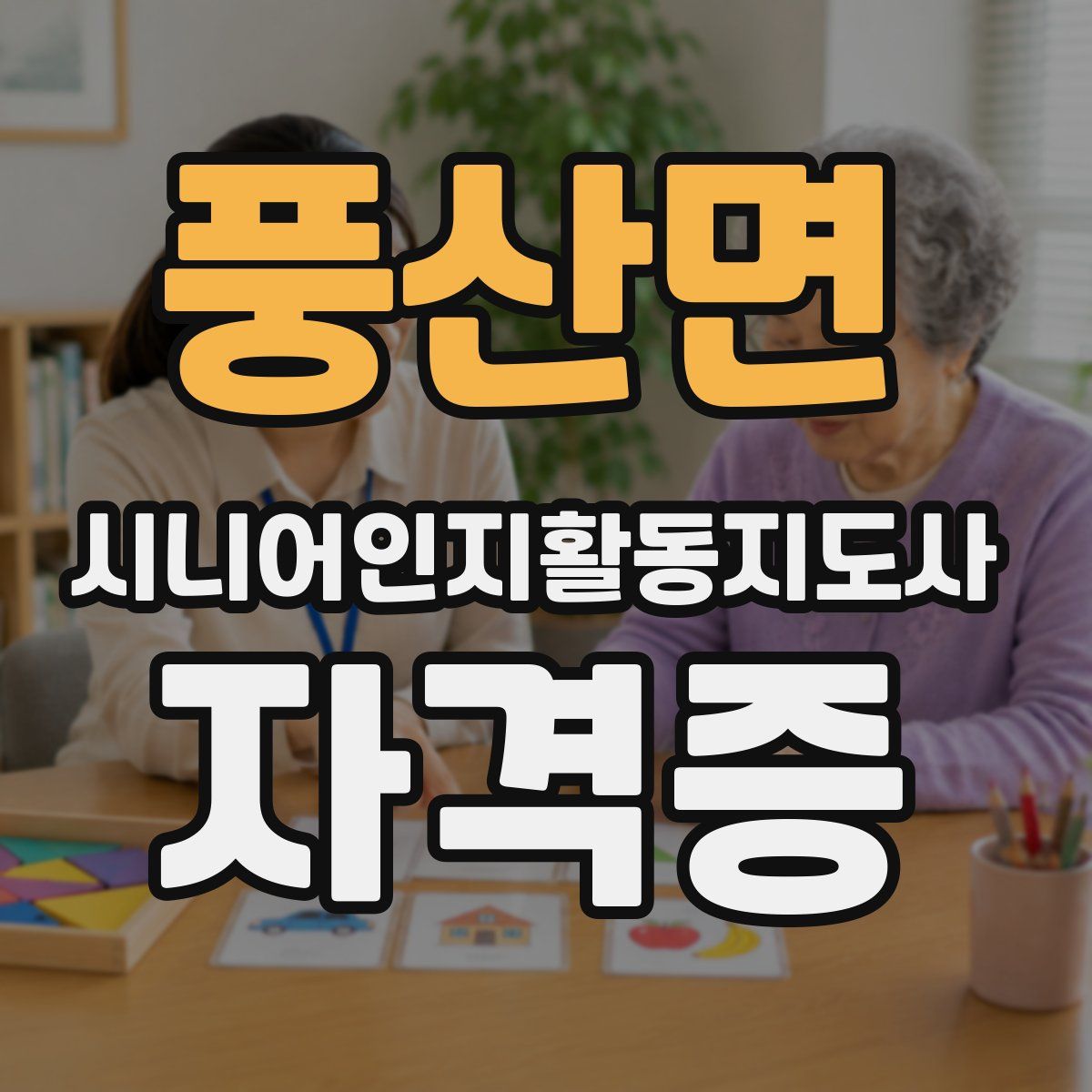 풍산면 시니어인지활동지도사 자격증