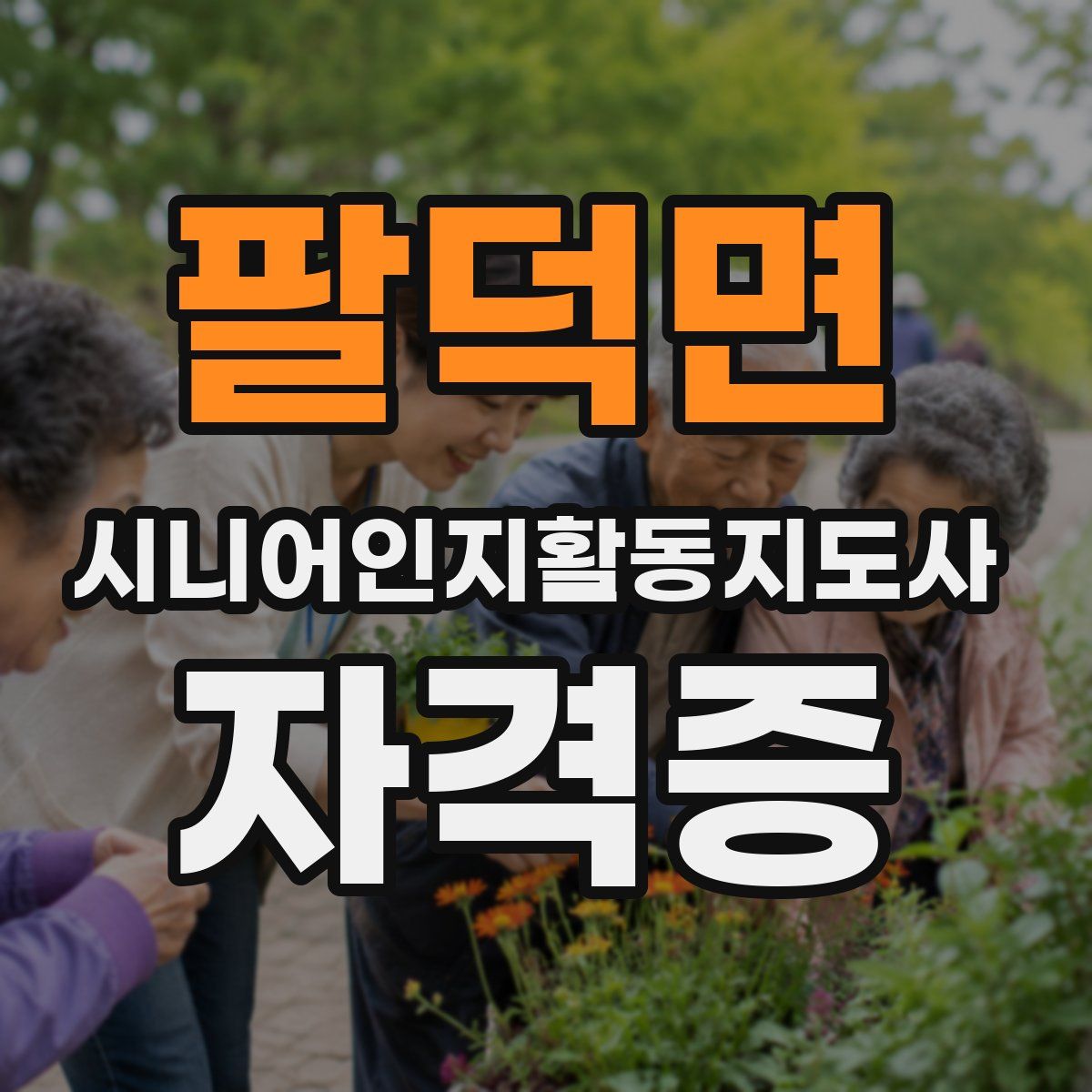 팔덕면 시니어인지활동지도사 자격증