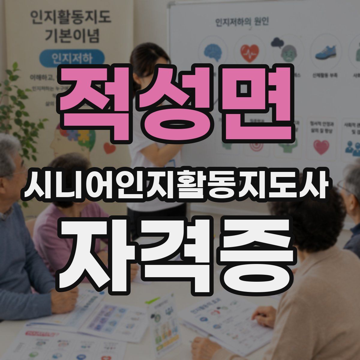 적성면 시니어인지활동지도사 자격증