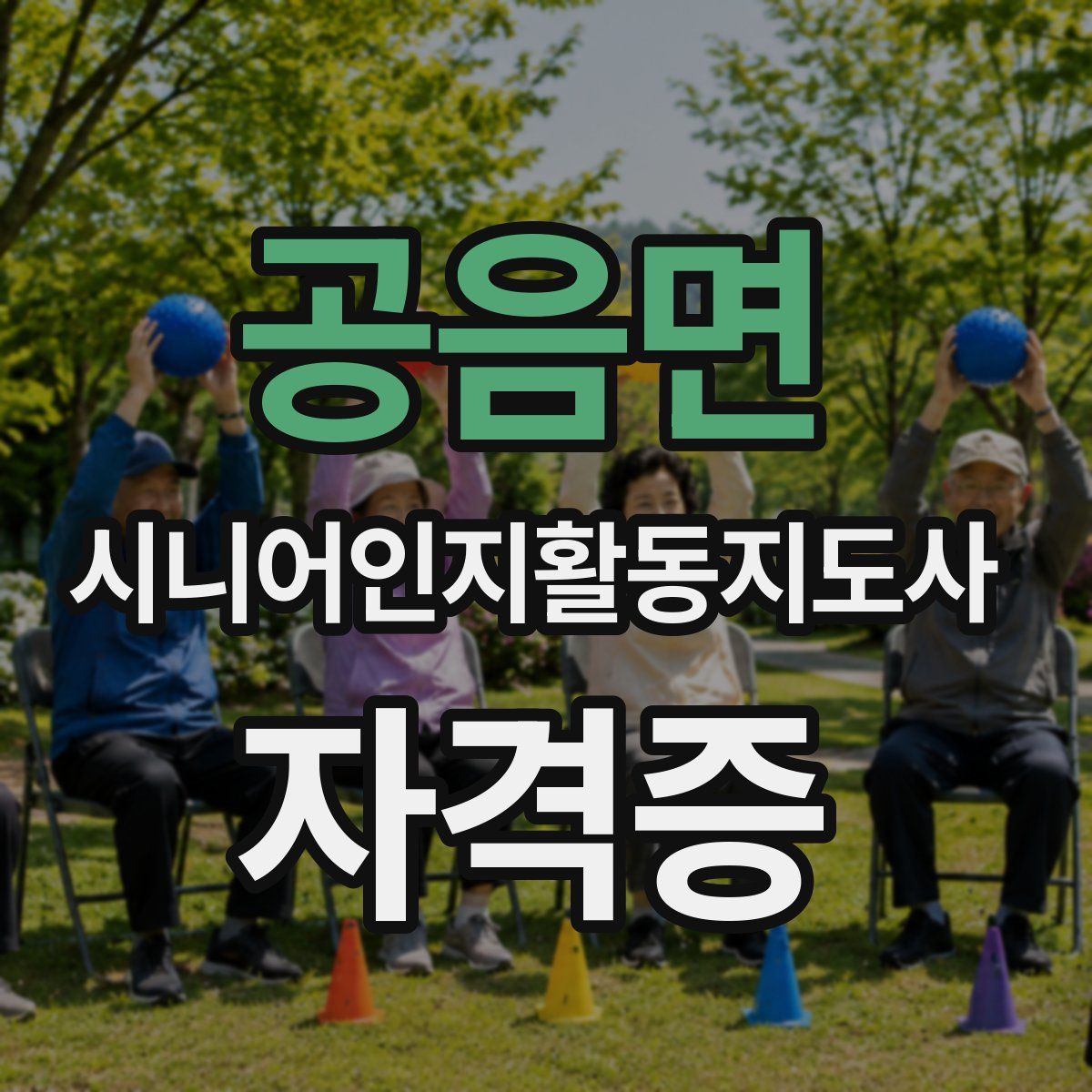공음면 시니어인지활동지도사 자격증