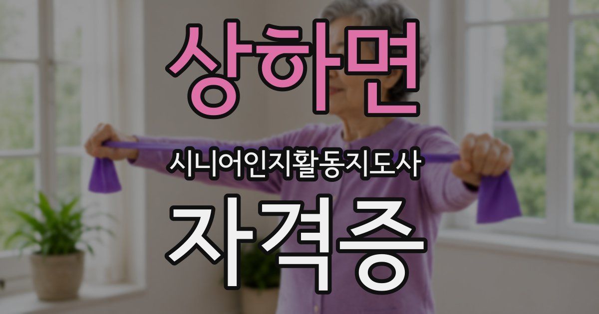 상하면 시니어인지활동지도사 자격증