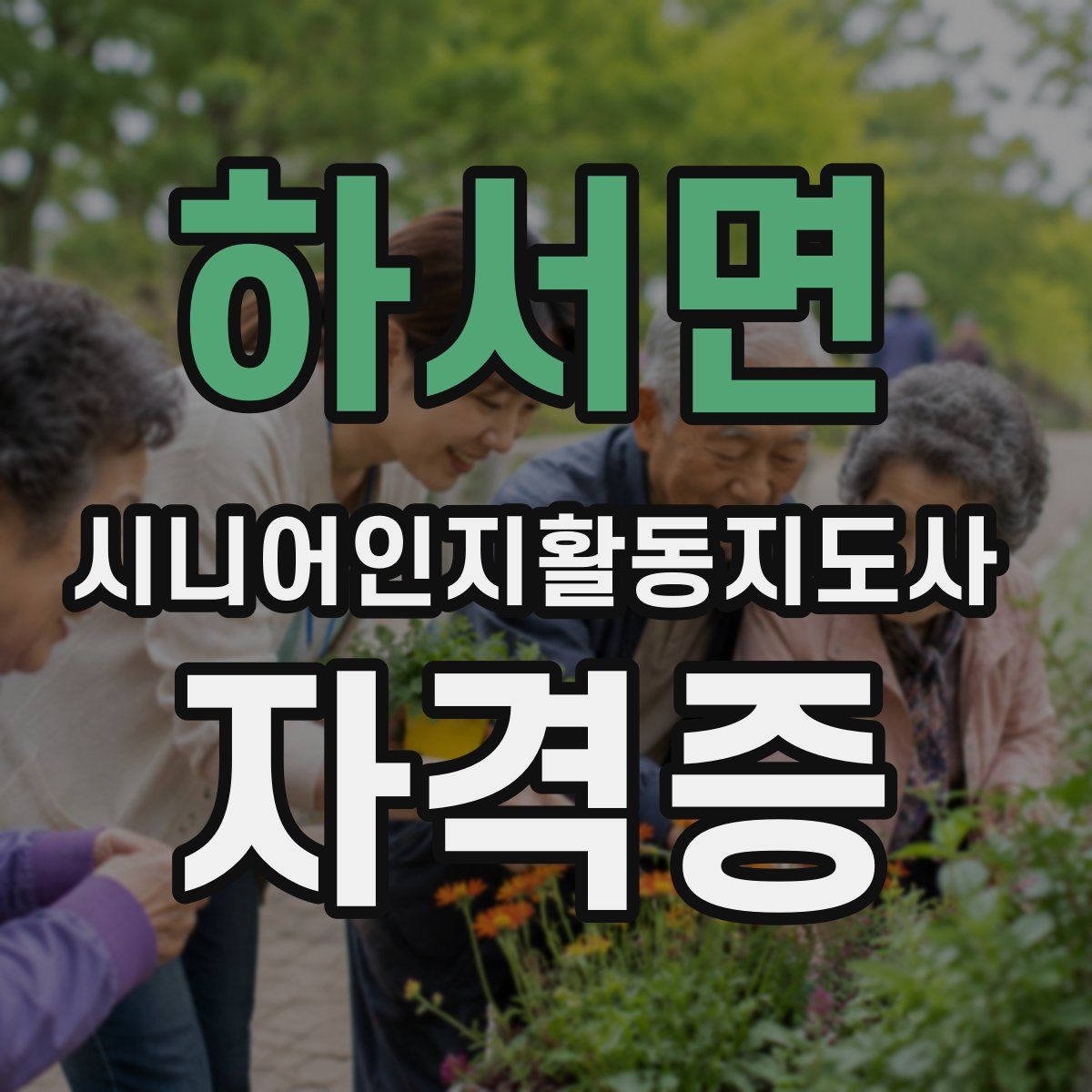 하서면 시니어인지활동지도사 자격증