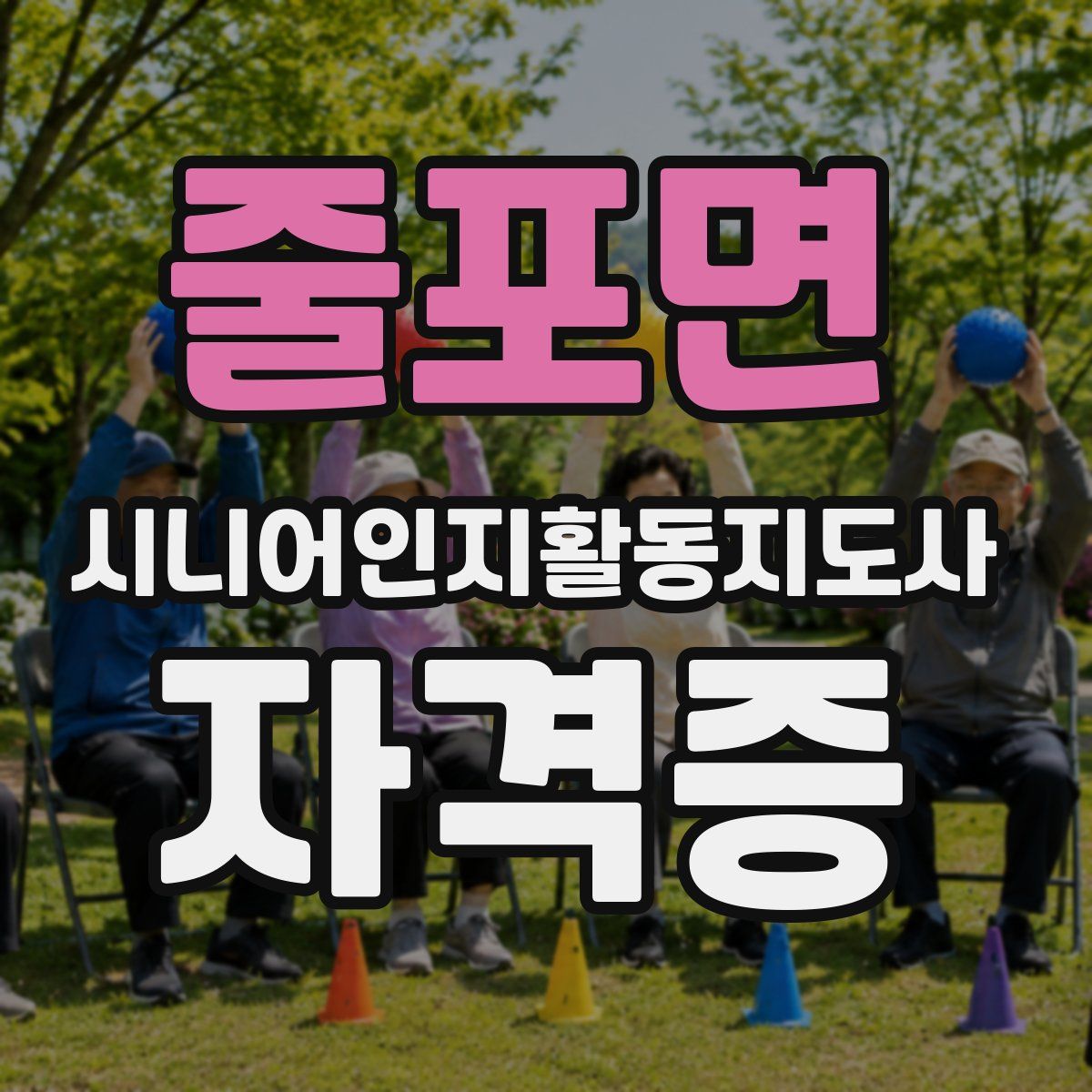 줄포면 시니어인지활동지도사 자격증
