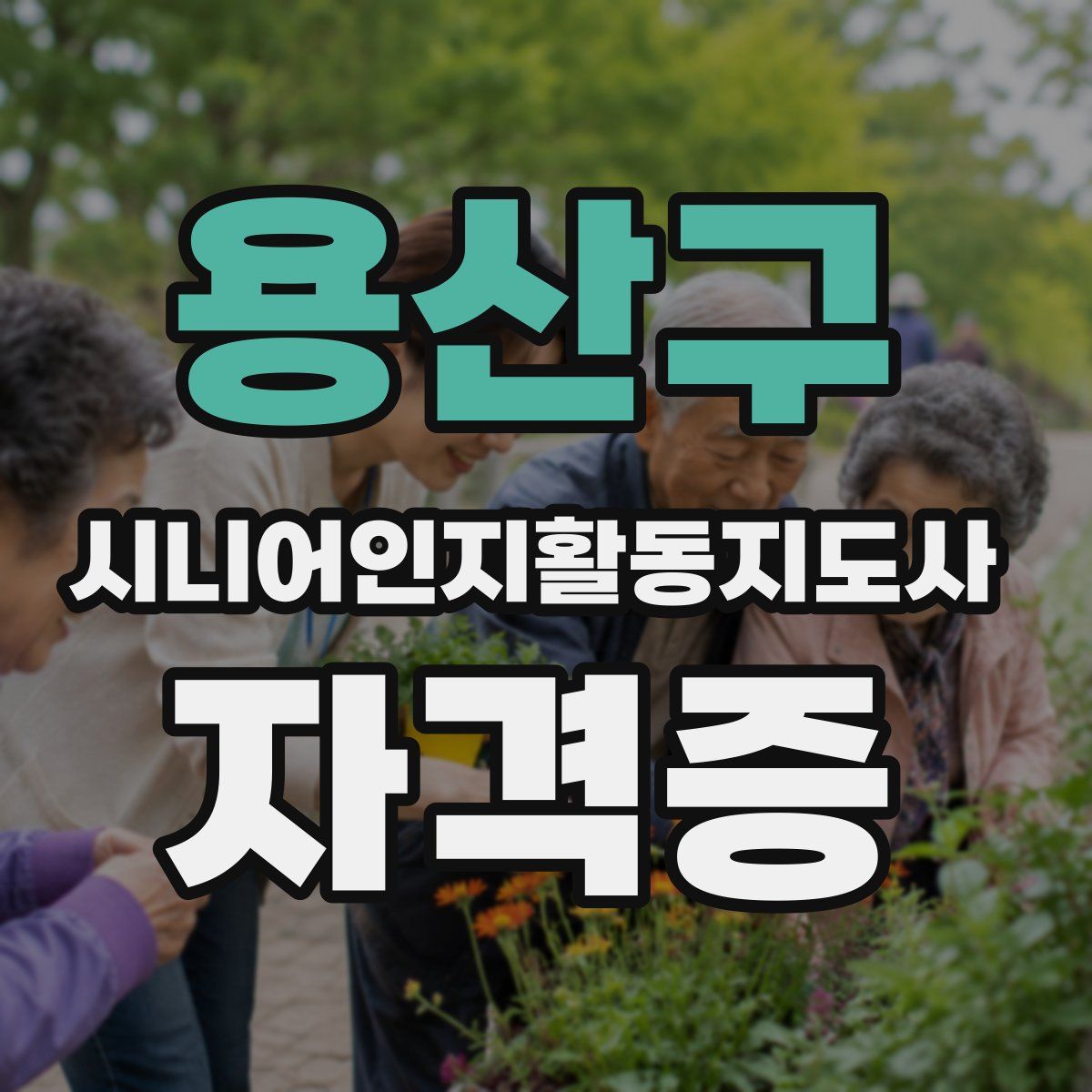 용산구 시니어인지활동지도사 자격증