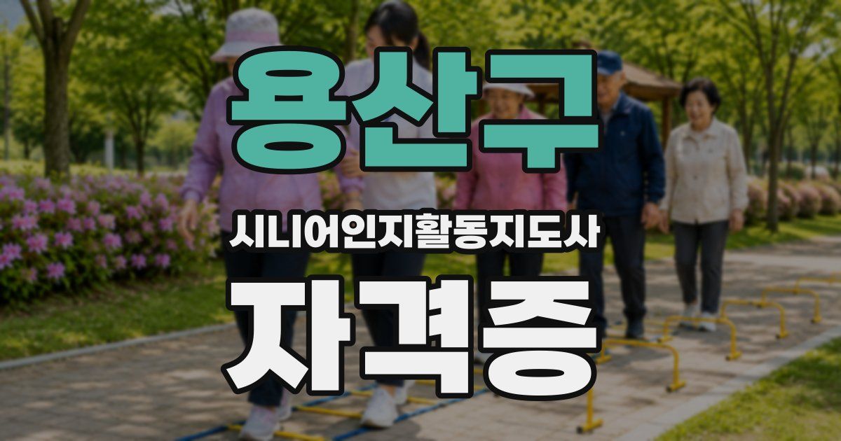 용산구 시니어인지활동지도사 자격증