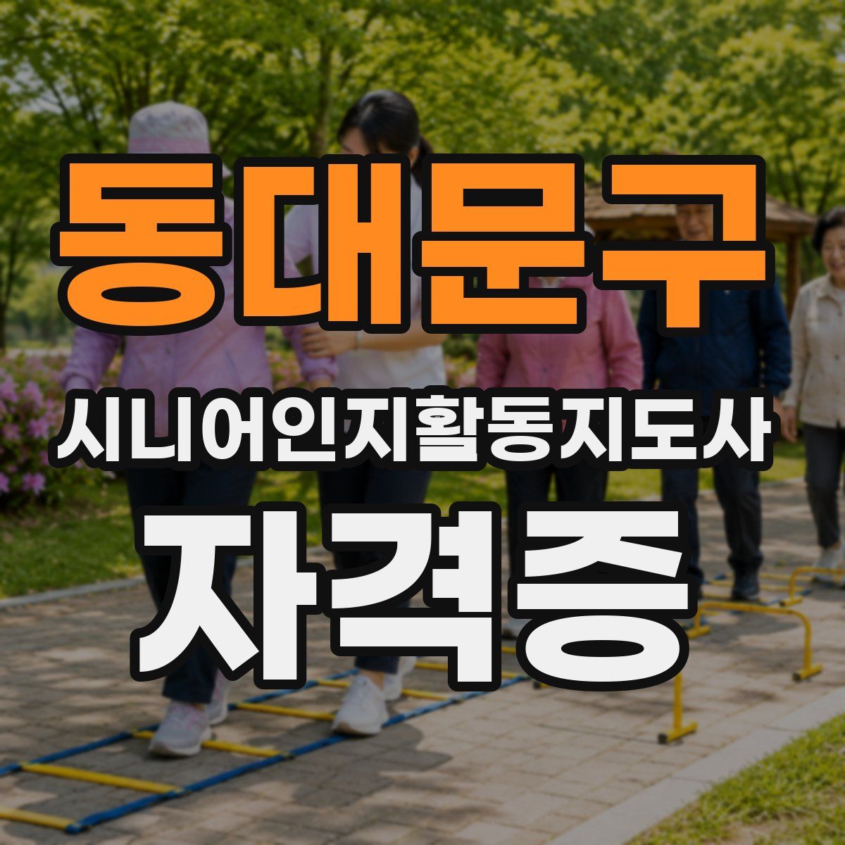 동대문구 시니어인지활동지도사 자격증