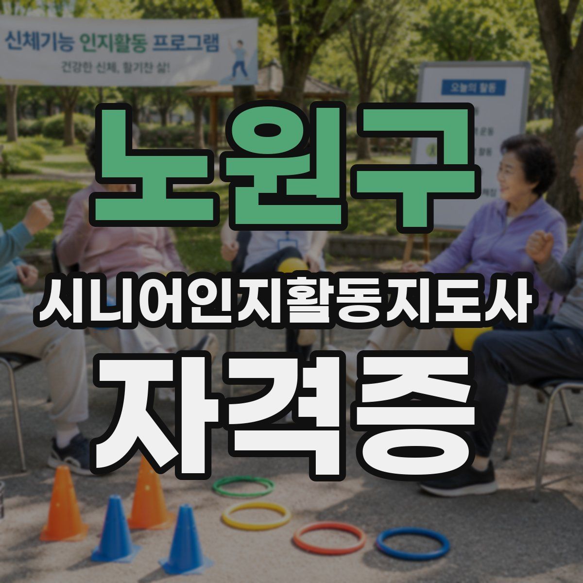 노원구 시니어인지활동지도사 자격증