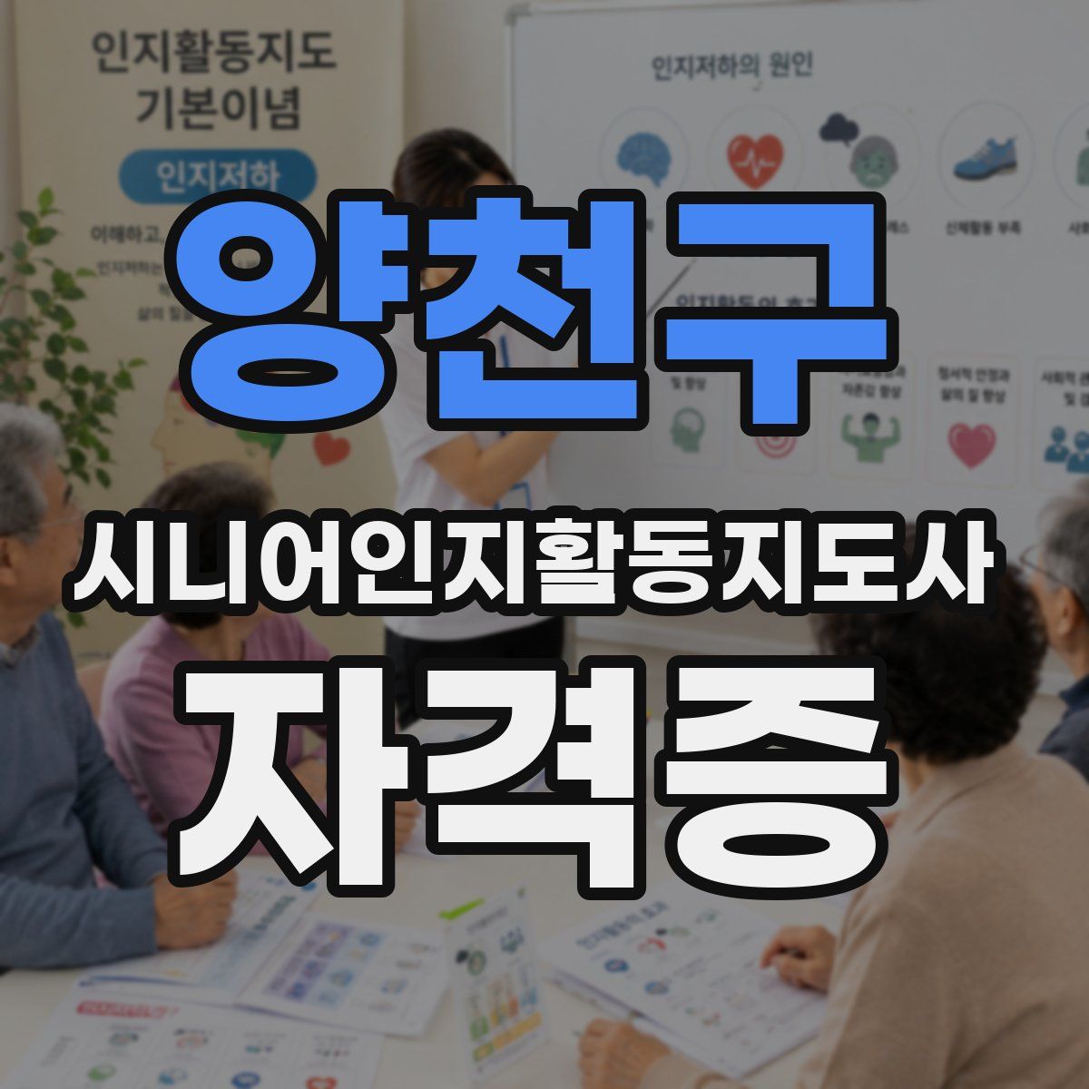 양천구 시니어인지활동지도사 자격증