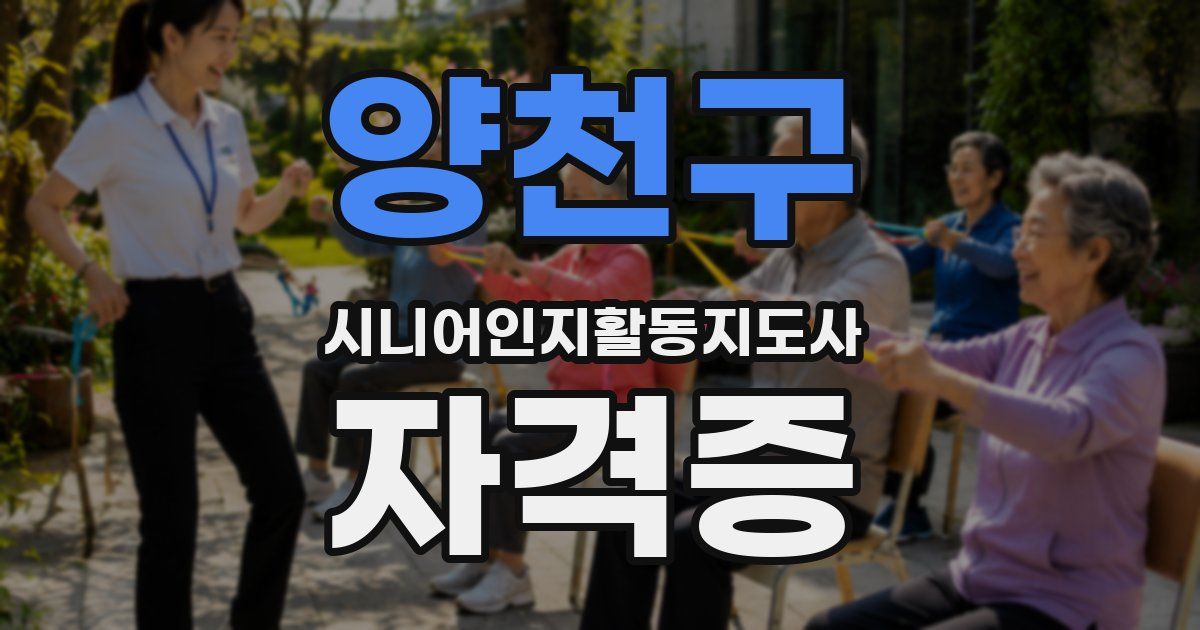 양천구 시니어인지활동지도사 자격증