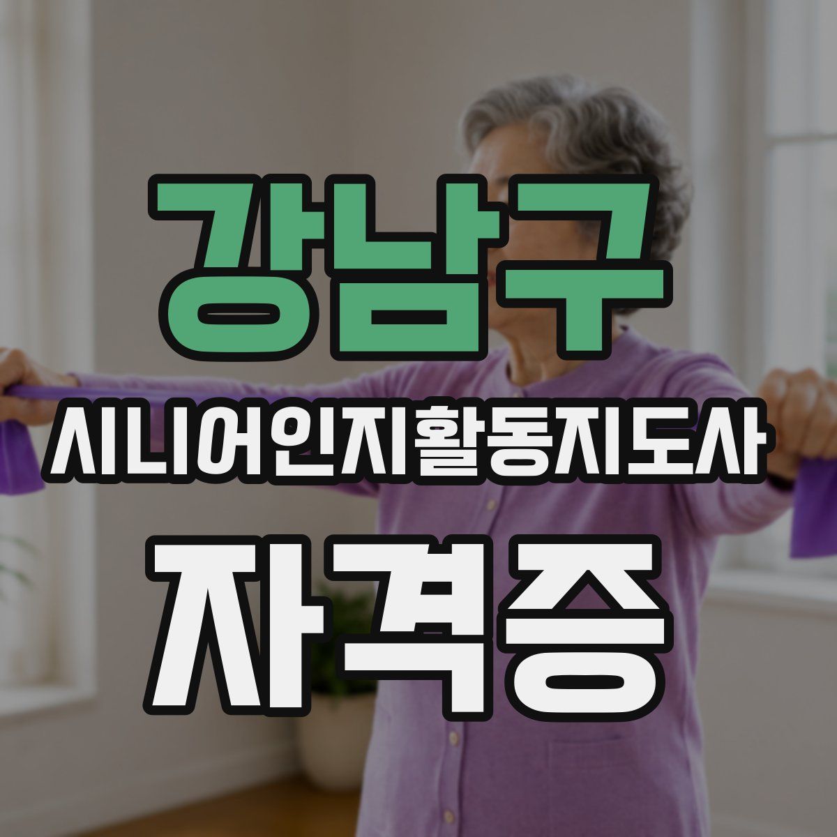 강남구 시니어인지활동지도사 자격증