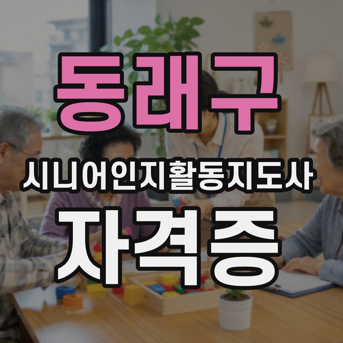 동래구 시니어인지활동지도사 자격증