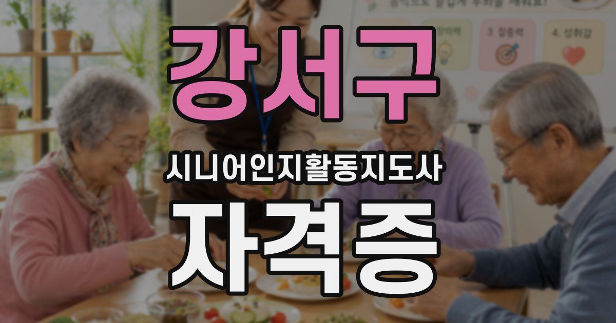 강서구 시니어인지활동지도사 자격증