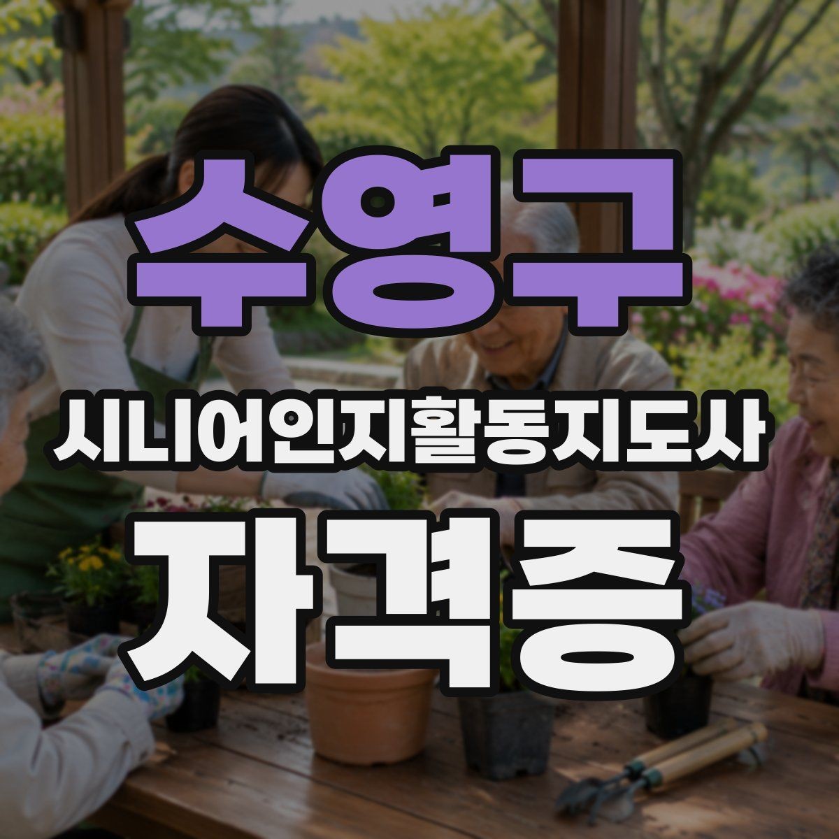 수영구 시니어인지활동지도사 자격증 오프라인 수업 선택 기준