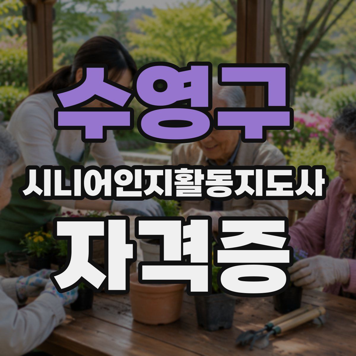 수영구 시니어인지활동지도사 자격증