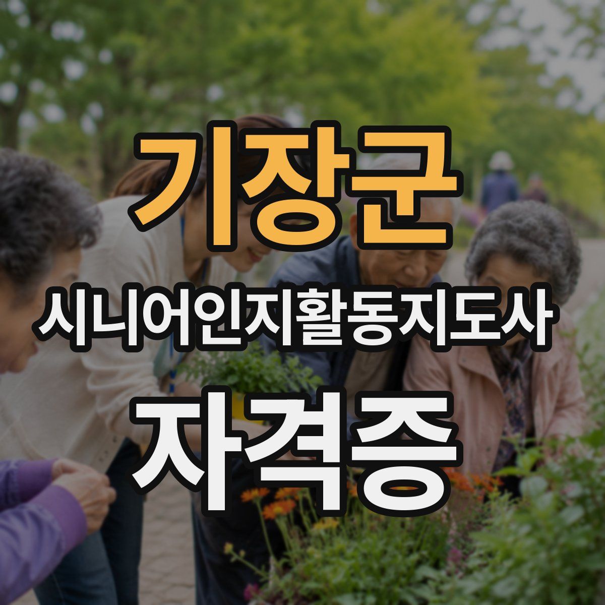 기장군 시니어인지활동지도사 자격증
