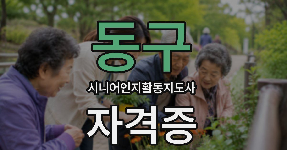 동구 시니어인지활동지도사 자격증