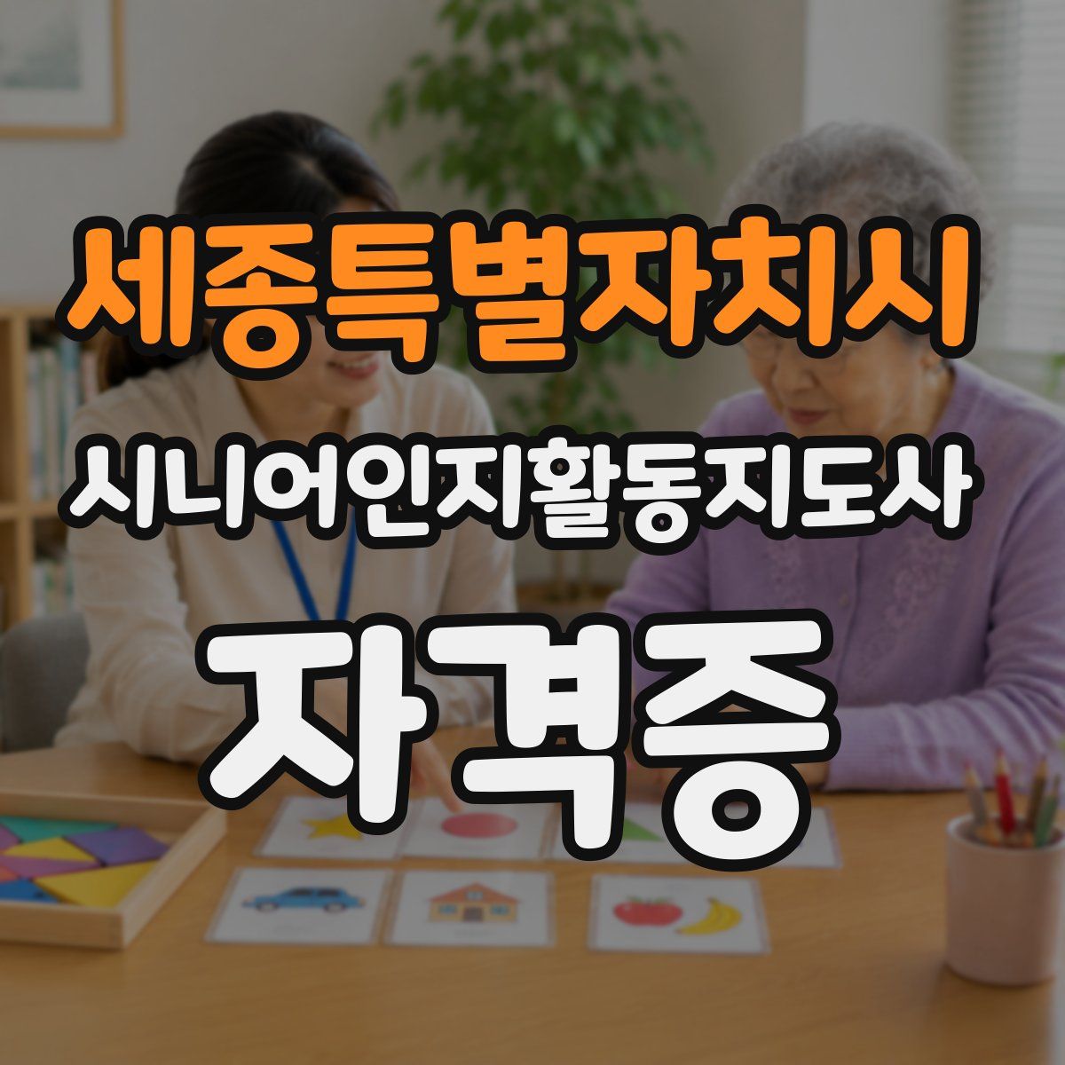 세종특별자치시 시니어인지활동지도사 자격증