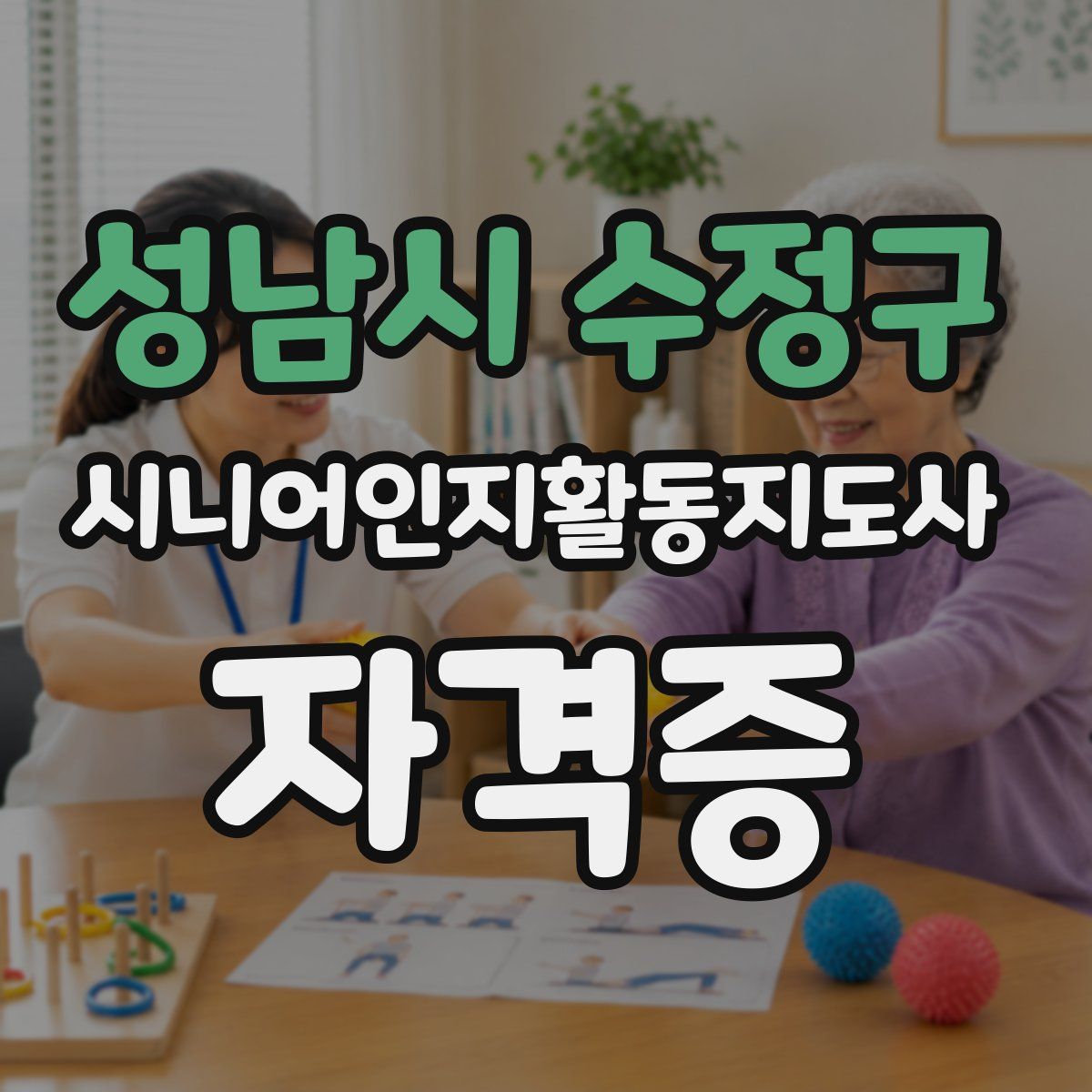 성남시 수정구 시니어인지활동지도사 자격증