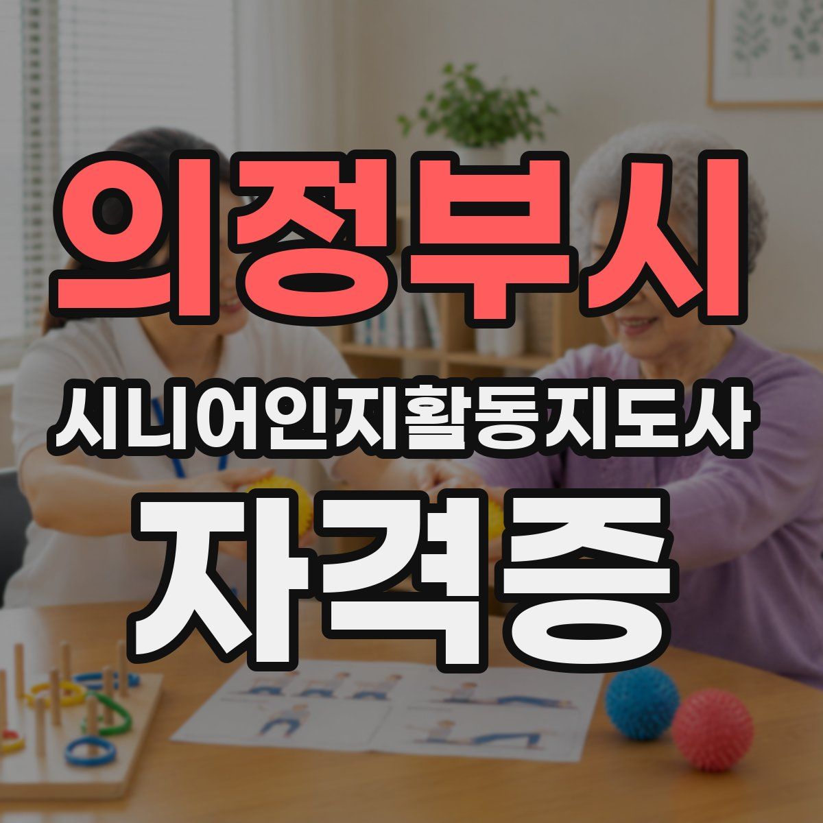 의정부시 시니어인지활동지도사 자격증