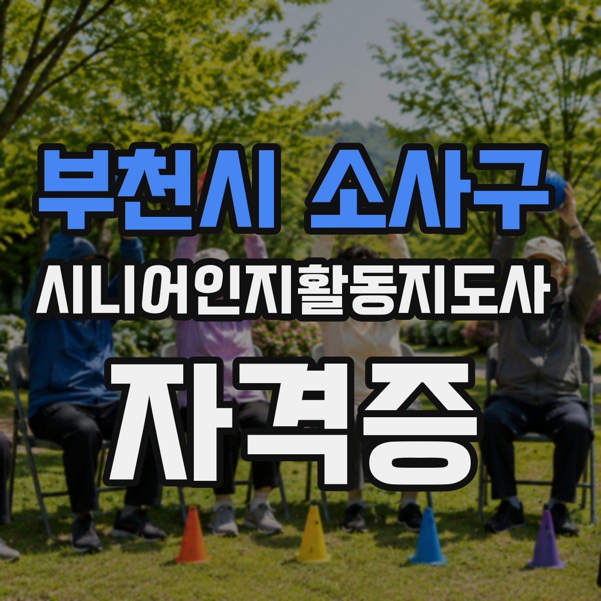 부천시 소사구 시니어인지활동지도사 자격증 시험 준비용 핵심 정리표