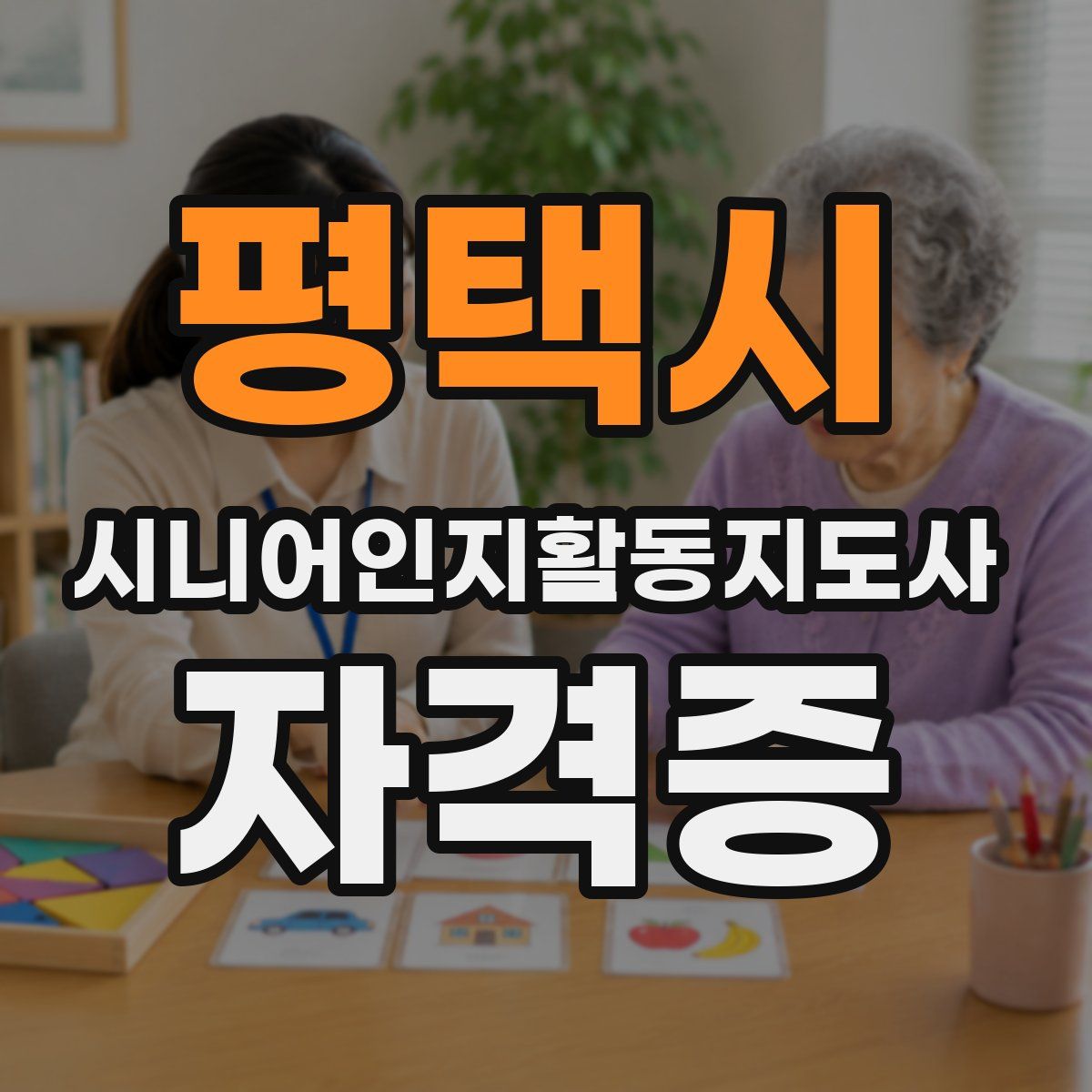 평택시 시니어인지활동지도사 자격증