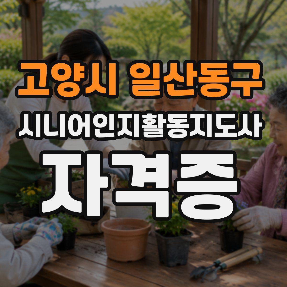 고양시 일산동구 시니어인지활동지도사 자격증