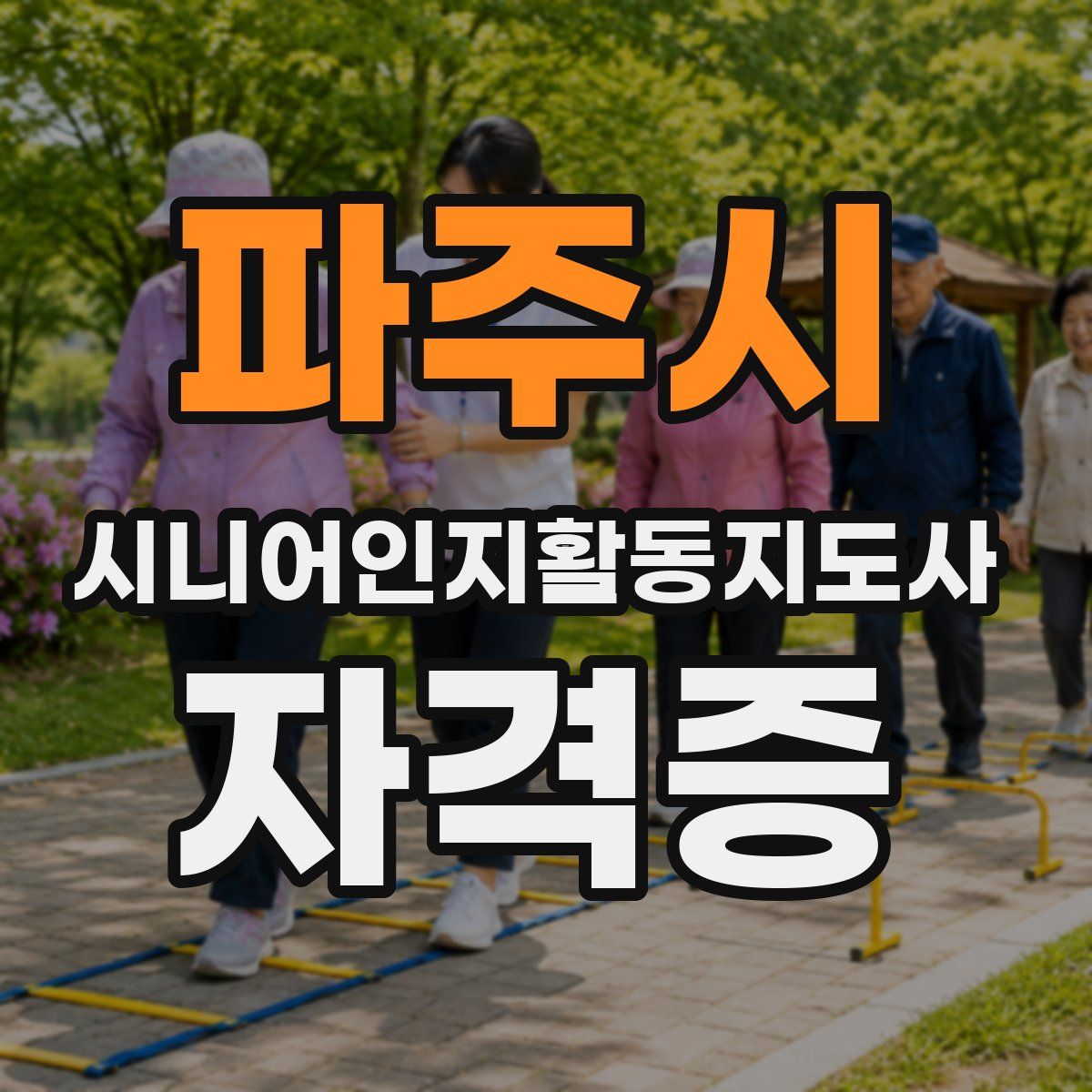 파주시 시니어인지활동지도사 자격증