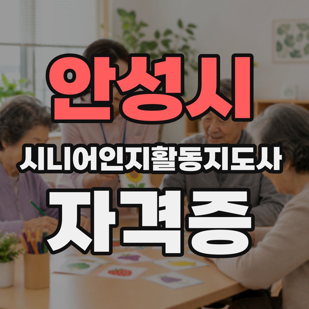 안성시 시니어인지활동지도사 자격증