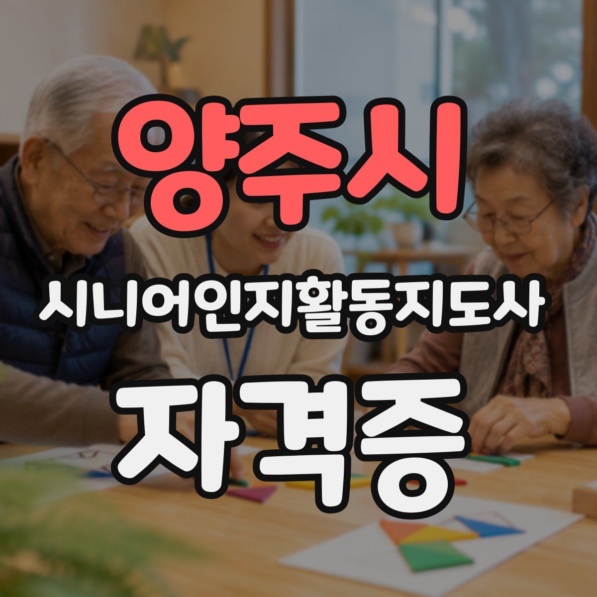 양주시 시니어인지활동지도사 자격증