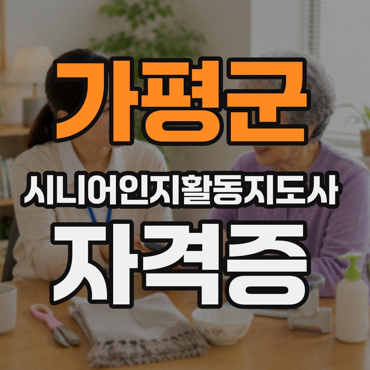 가평군 시니어인지활동지도사 자격증