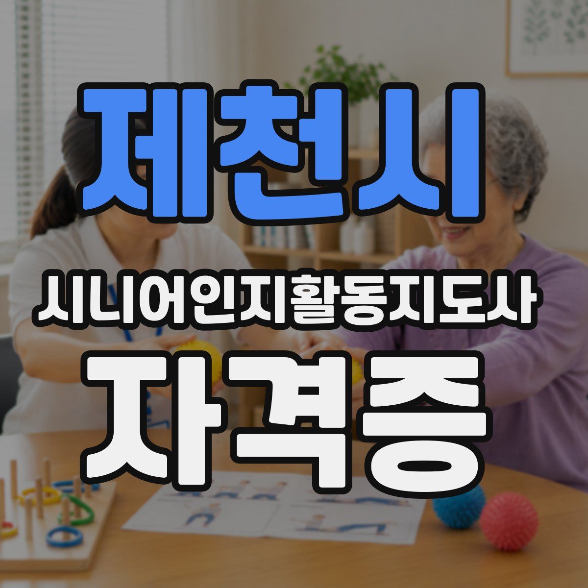 제천시 시니어인지활동지도사 자격증