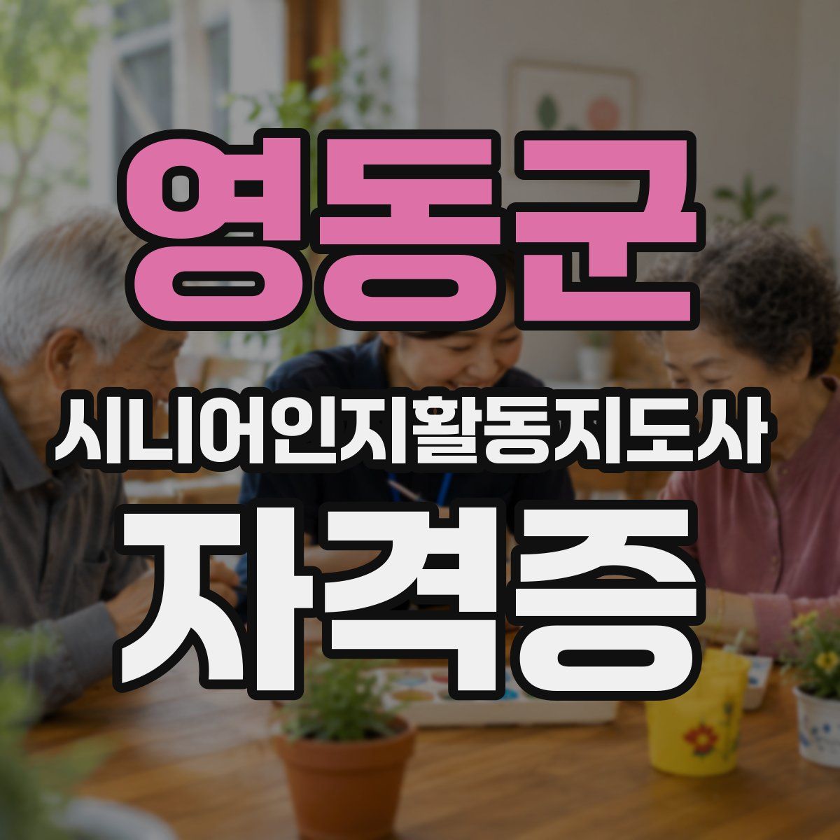 영동군 시니어인지활동지도사 자격증