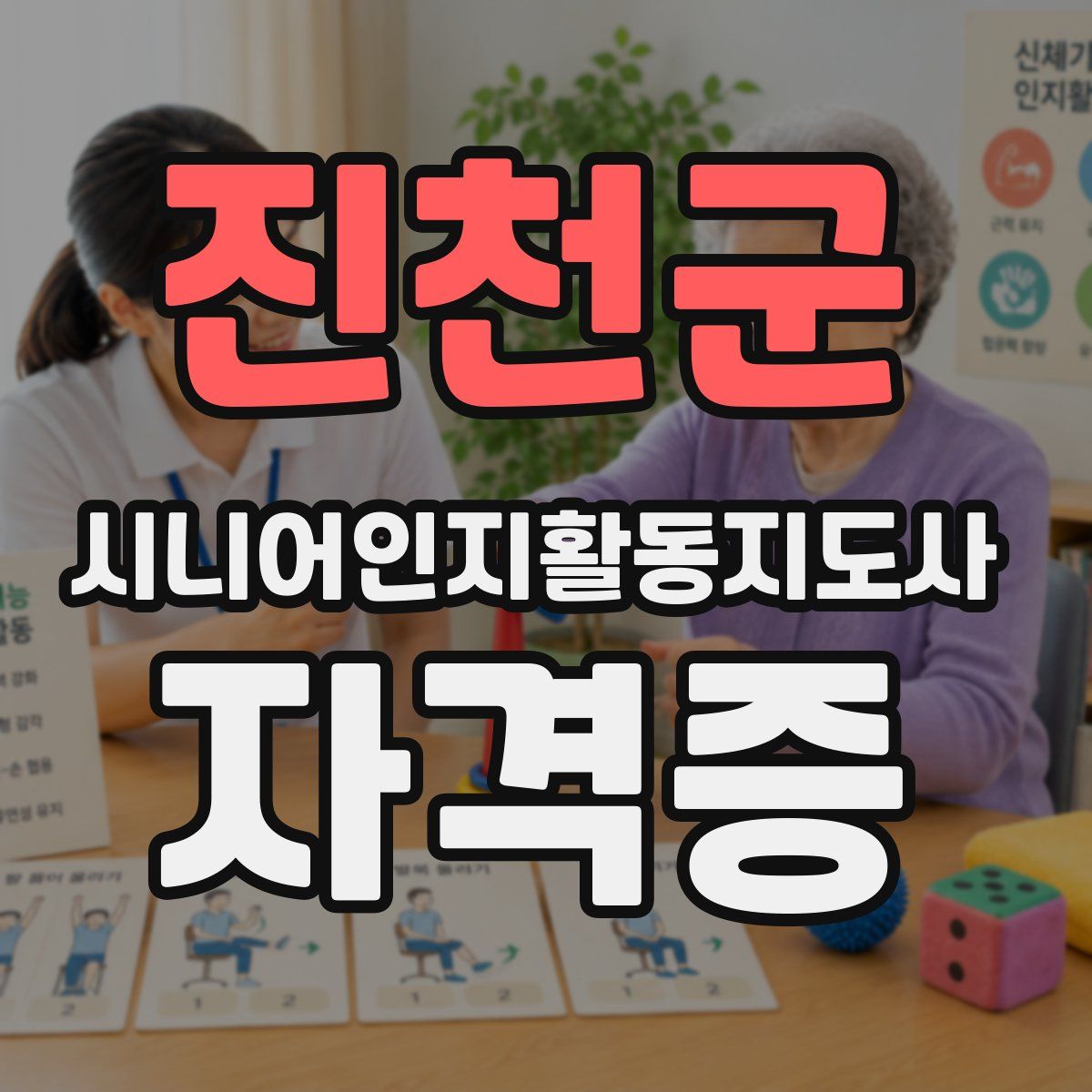 진천군 시니어인지활동지도사 자격증