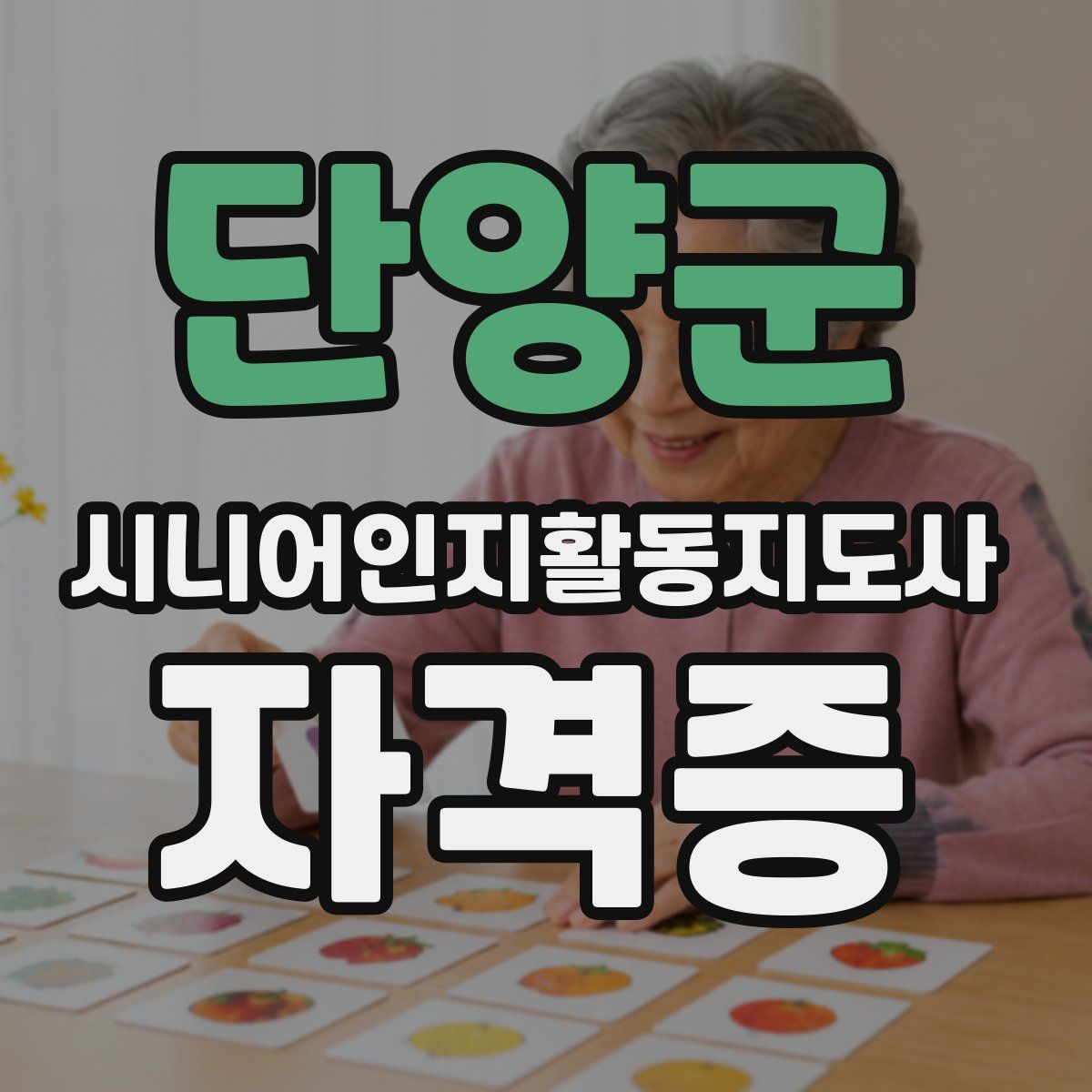단양군 시니어인지활동지도사 자격증