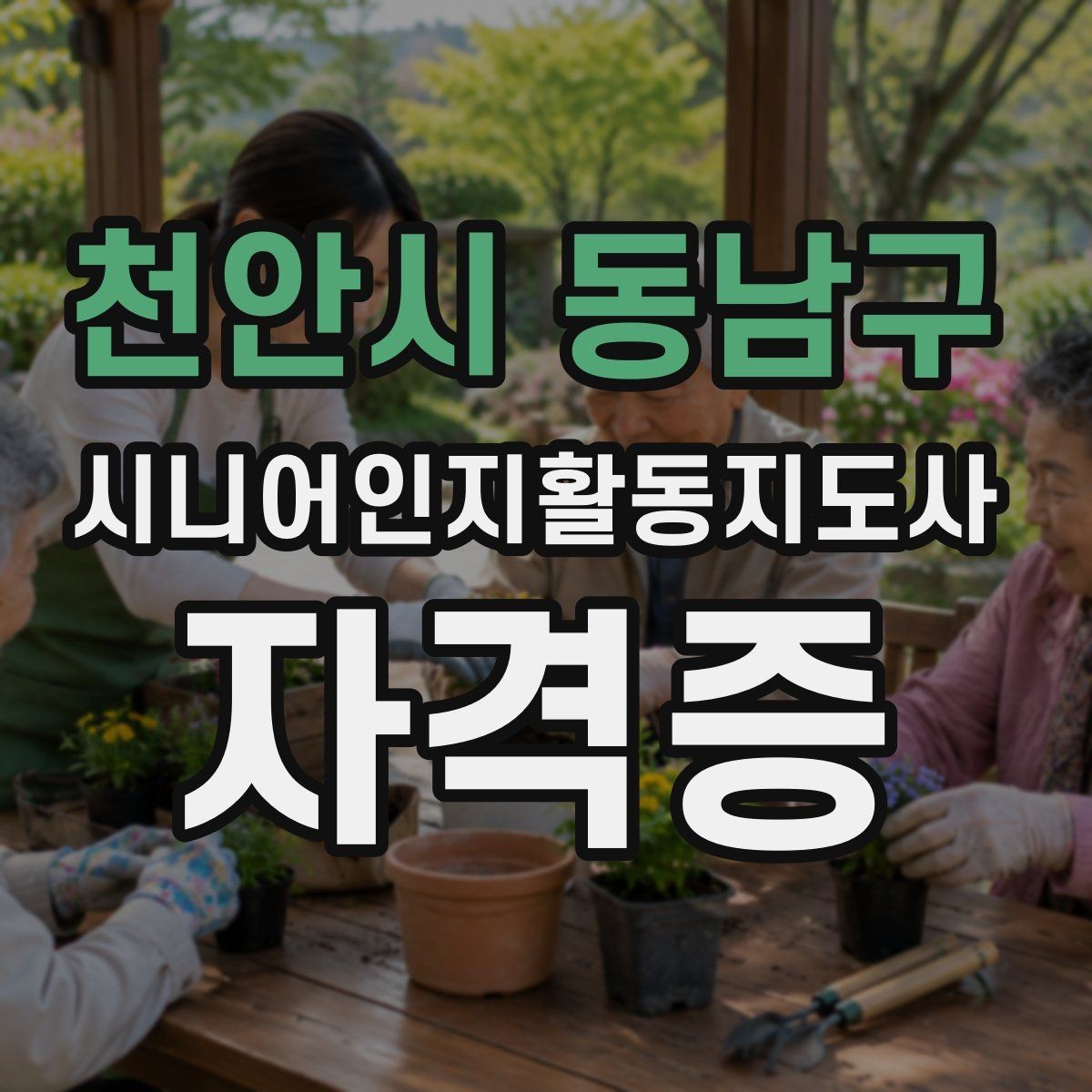 천안시 동남구 시니어인지활동지도사 자격증 현장 적용을 고려한 학습법