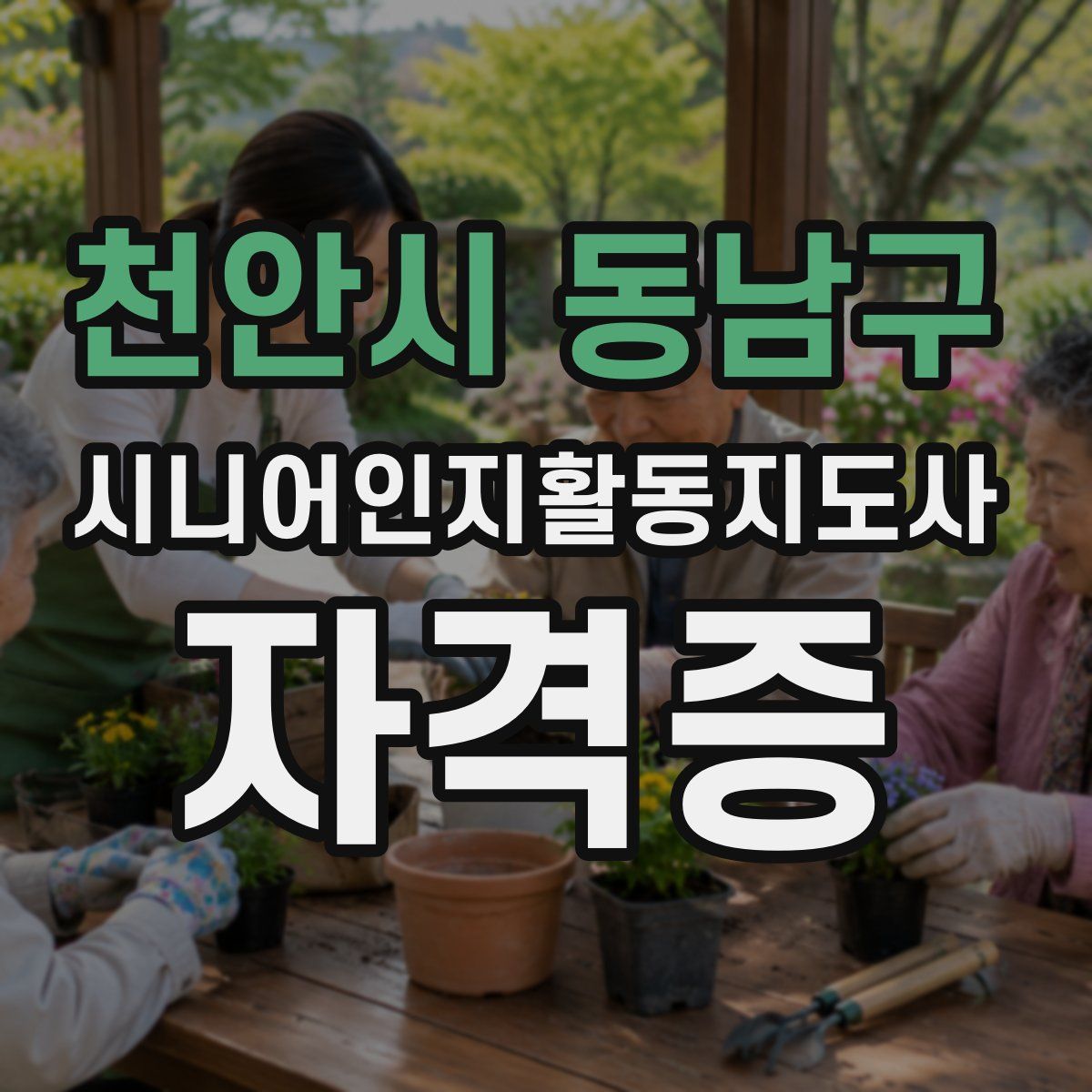 천안시 동남구 시니어인지활동지도사 자격증