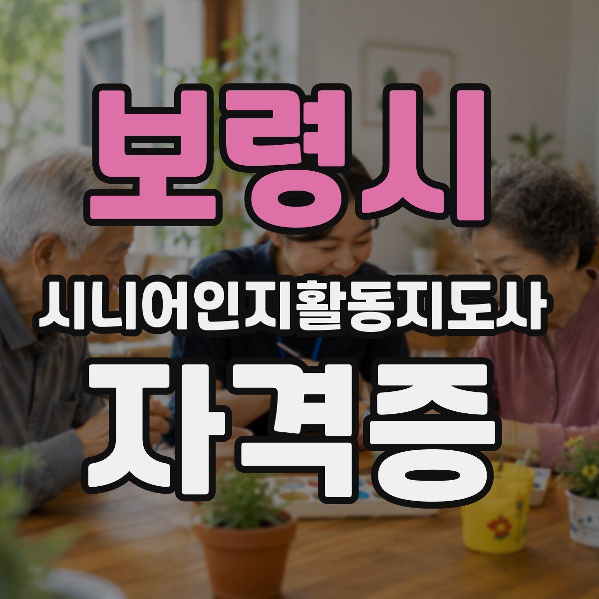 보령시 시니어인지활동지도사 자격증