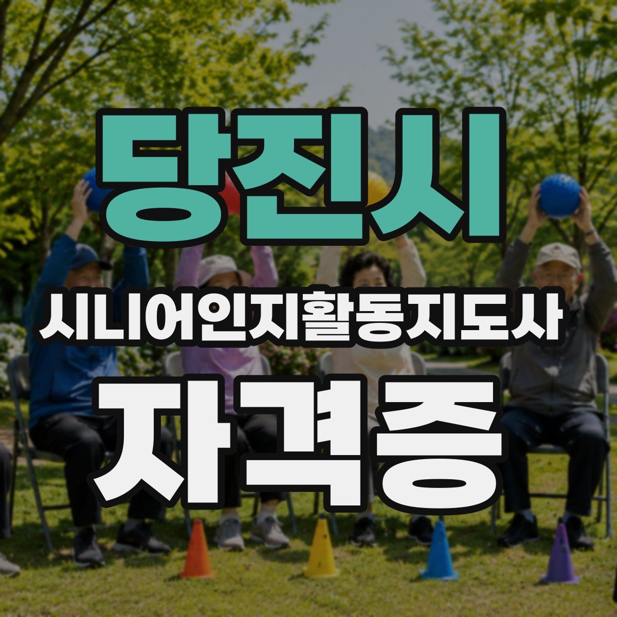 당진시 시니어인지활동지도사 자격증